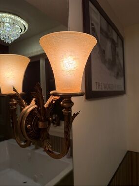 Tulip amber wall scone shade set of 2